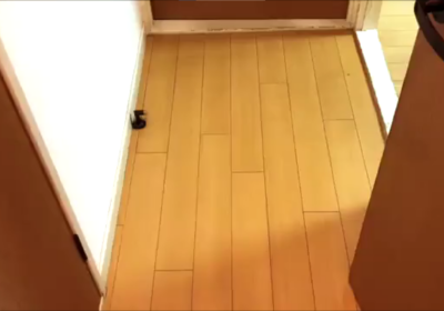 サンフレッシュ