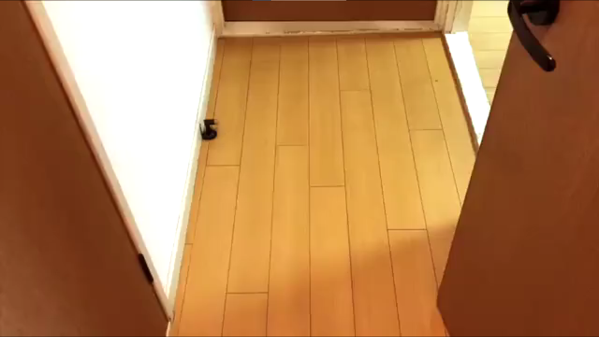 サンフレッシュ