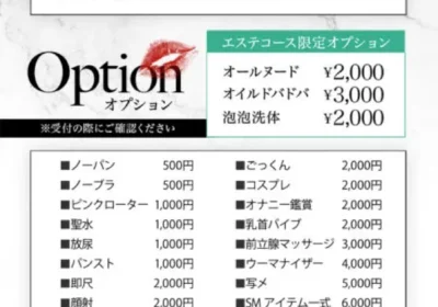 LIP FANTASY/ヘブンネット料金表